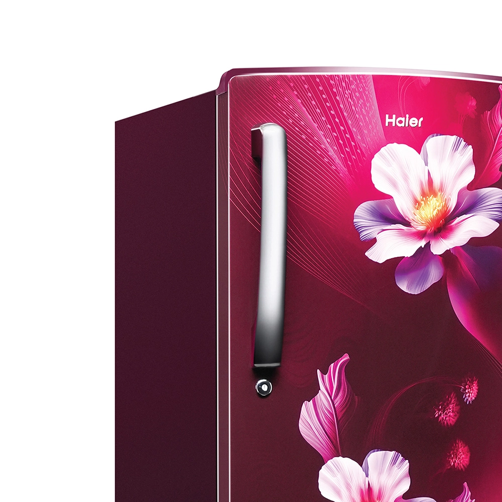 Haier 235L 2 Star Red Karen Single Door Refrigerator 